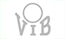 V.I.B. Logo